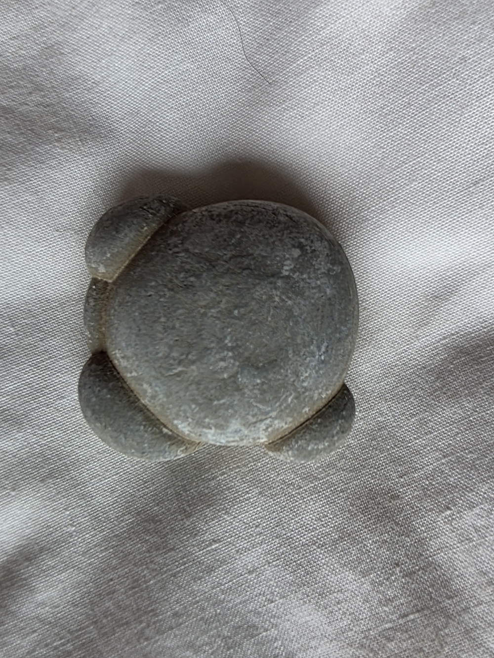 Rare Authentic Canadian Fairy Stone (Natural Calcareous Concretion)